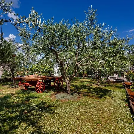 With Parking Space Njivice, Krk - 20505 Apartment *